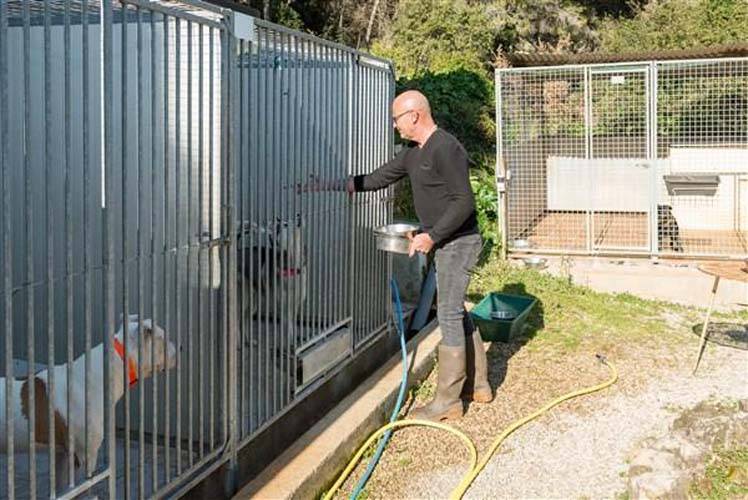 Pension chien près de Var