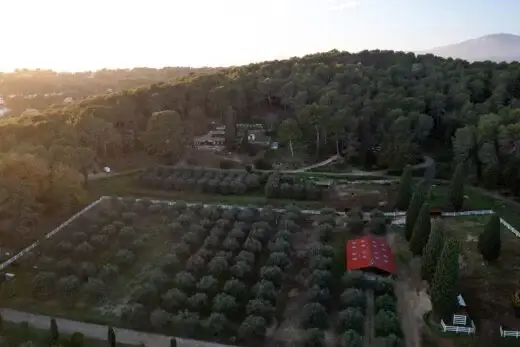 jardin